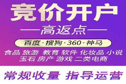 某电商平台的SEM广告投放全流程解析